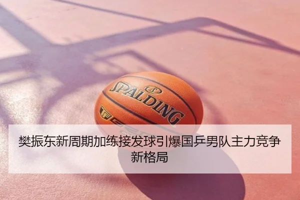 樊振东新周期加练接发球引爆国乒男队主力竞争新格局